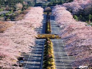 冨士霊園