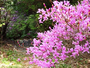 勝間田公園