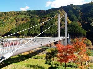 南アルプス接阻大吊橋