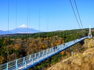 三島スカイウォーク