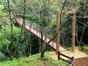 駿河平自然公園の吊り橋