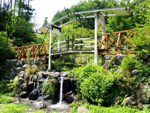 八重桐の池はね橋