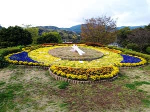 道の駅 花の三聖苑の花時計