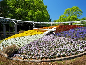 富士市中央公園の花時計