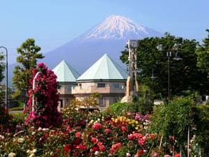 富士市中央公園