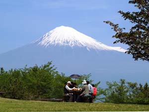 はたご池公園