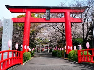 米之宮浅間神社