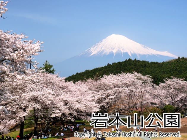 岩本山公園