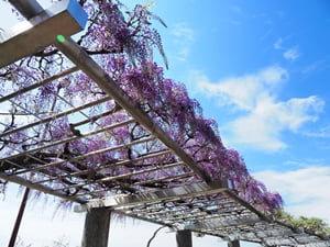 藤枝総合運動公園