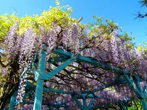 東光寺