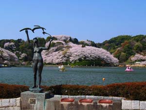 蓮華寺池公園