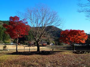 びく石ふれあい広場