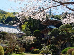 正應院 多宝塔