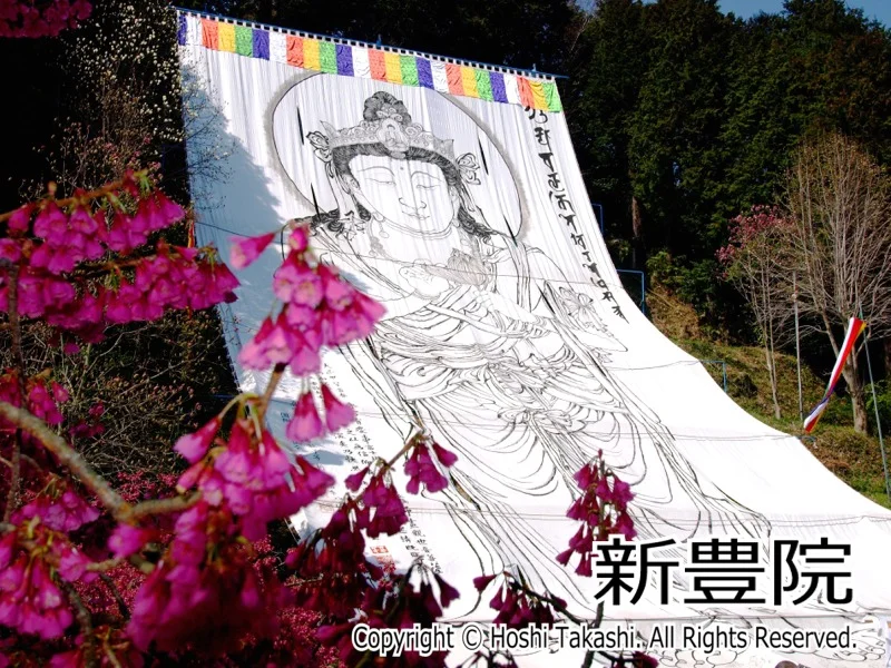 新豊院