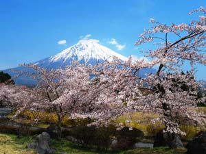 富士桜自然墓地公園