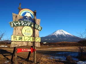 ハートランド朝霧