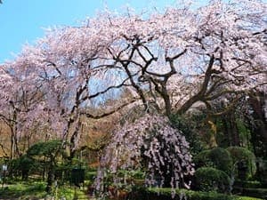 秩父宮記念公園