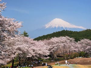 岩本山公園