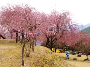 智者の丘公園