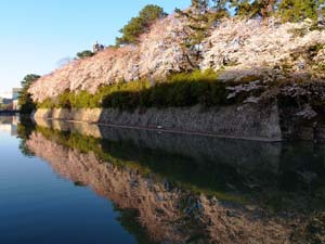 駿府城公園