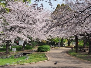 米の宮公園