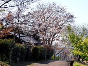 伊豆市立公園 六仙の里