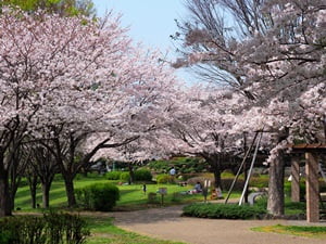 富士西公園