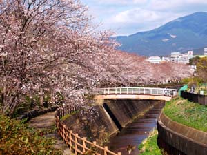 門池公園