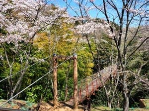 駿河平自然公園