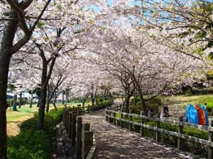 高松緑の森公園