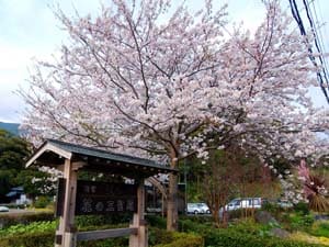 道の駅 花の三聖苑