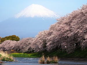 龍巌淵