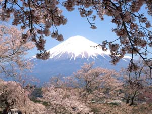 興徳寺