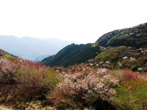 霧香峠