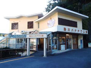 熱川バナナワニ園