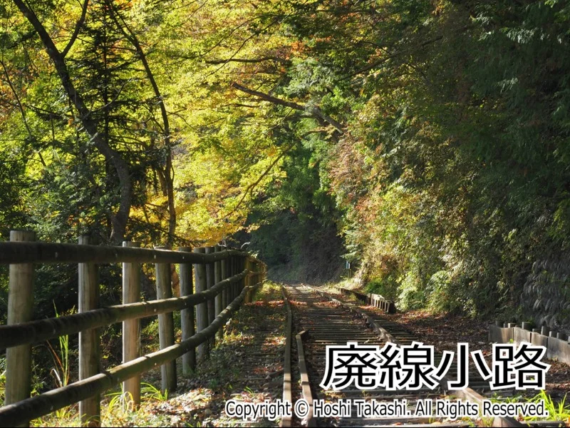 廃線小路