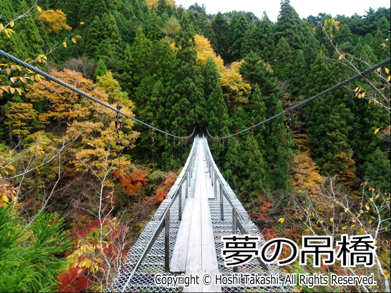 夢の吊橋