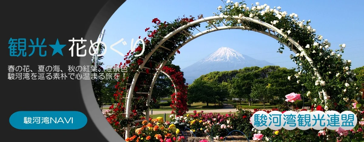 静岡観光 花めぐり