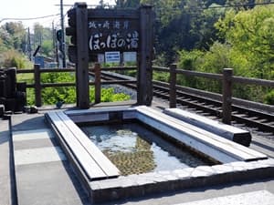 城ヶ崎海岸 ぽっぽの湯