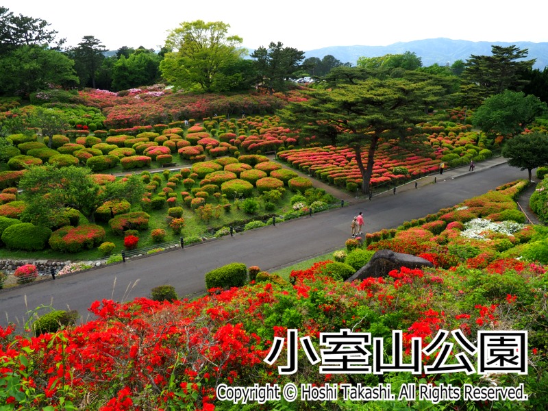 小室山公園