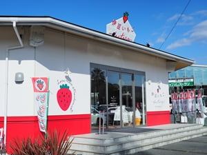 道の駅 伊豆のへそ