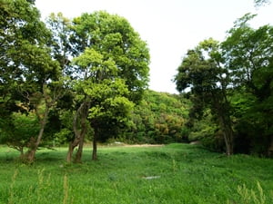 北条氏邸跡（円城寺跡）