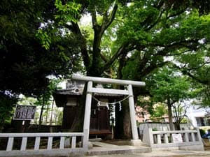 日暮八幡神社