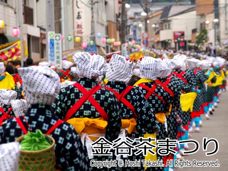 金谷茶まつり