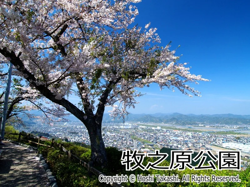 牧之原公園