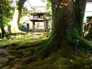 高源寺