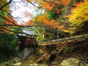 滝ノ谷不動峡もみじまつり