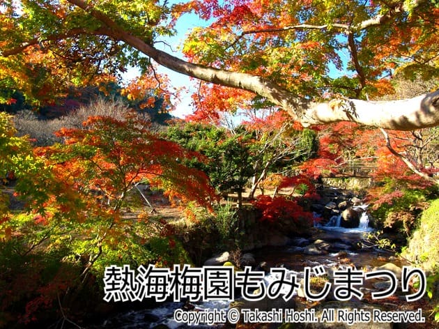 静岡県の紅葉スポット 21年決定版