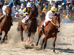 さがら草競馬大会