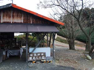 相良油田観光くり園